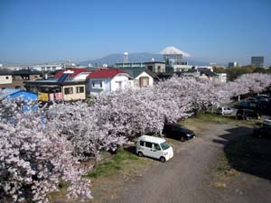 自宅より見た富士山