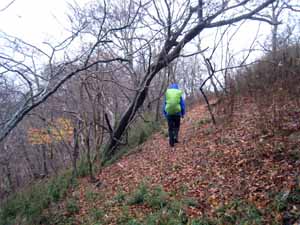 大六天山の登り