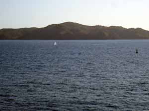 鮫ヶ崎で見た鯨のブロー