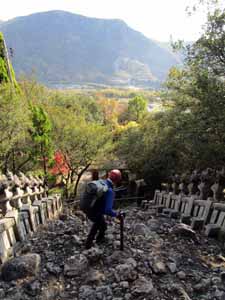 笠ヶ瀧寺の参道の下り