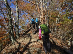 紅葉の西上州立処山